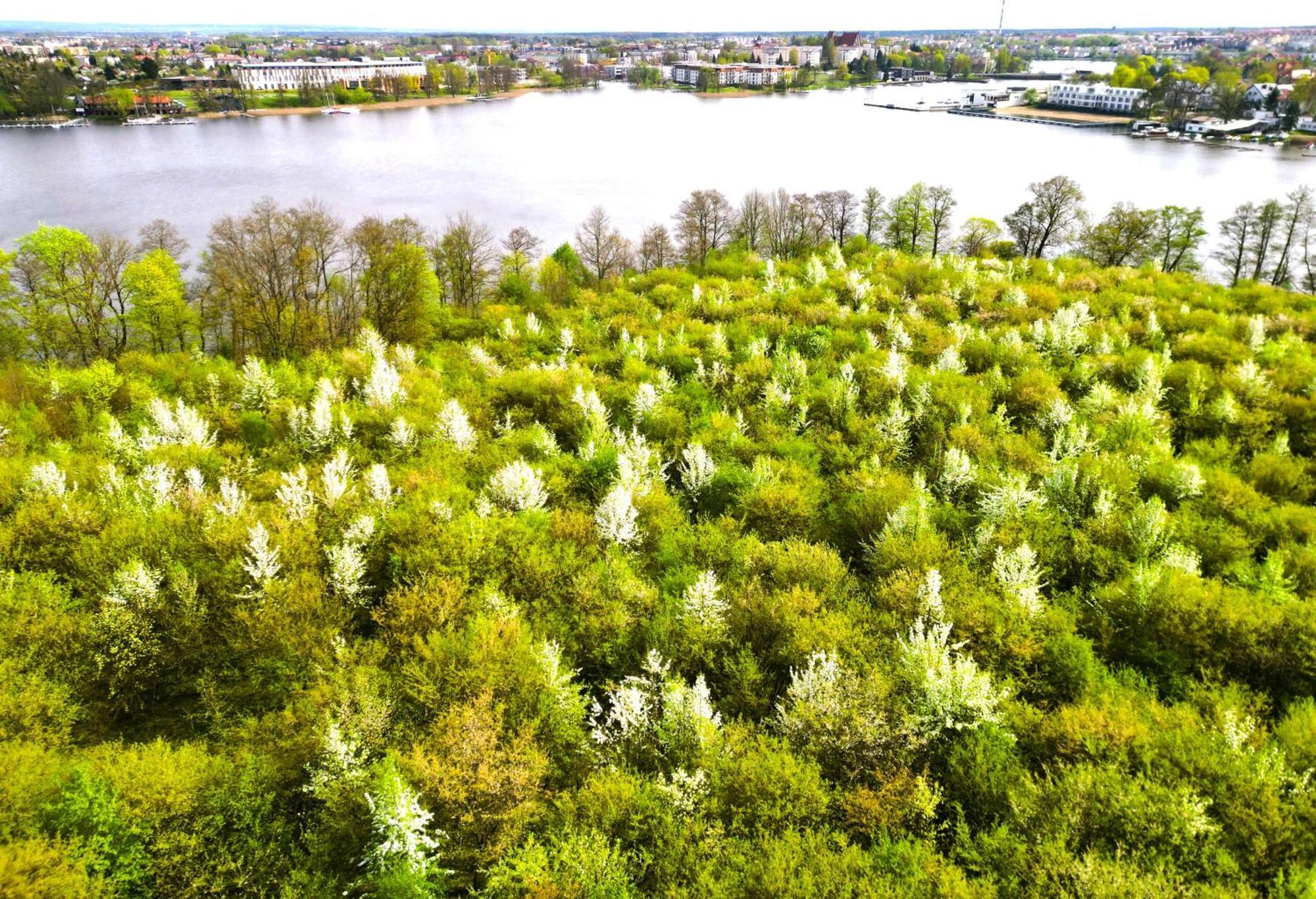 Marina Relax - Widok Na Jezioro, Parking Podziemny, Netflix I Max, Tv55